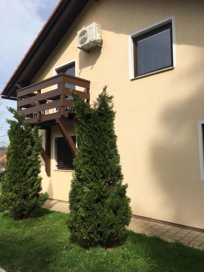 House Petra Lejlighed Rakovica Eksteriør billede